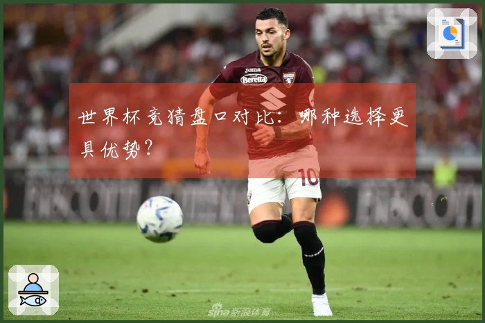 世界杯竞猜盘口对比：哪种选择更具优势？