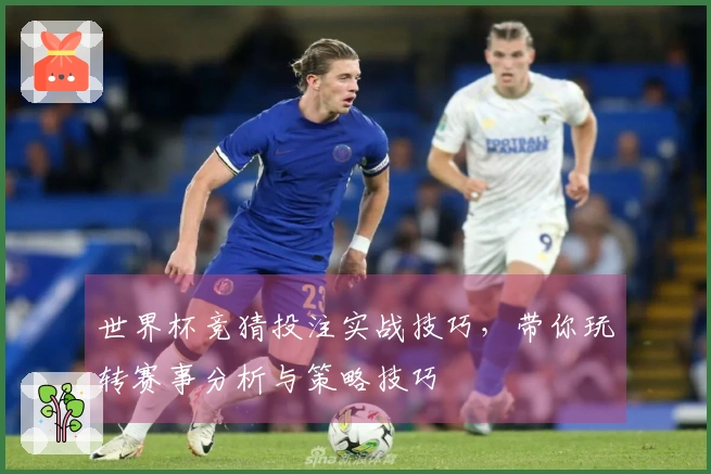 世界杯竞猜投注实战技巧，带你玩转赛事分析与策略技巧