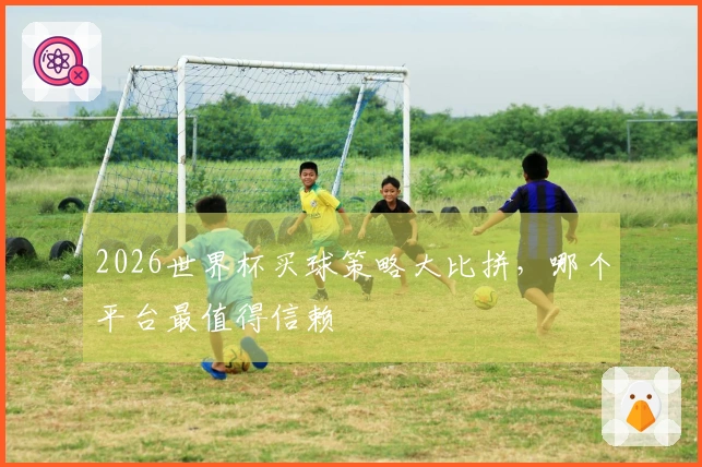 2026世界杯买球策略大比拼，哪个平台最值得信赖