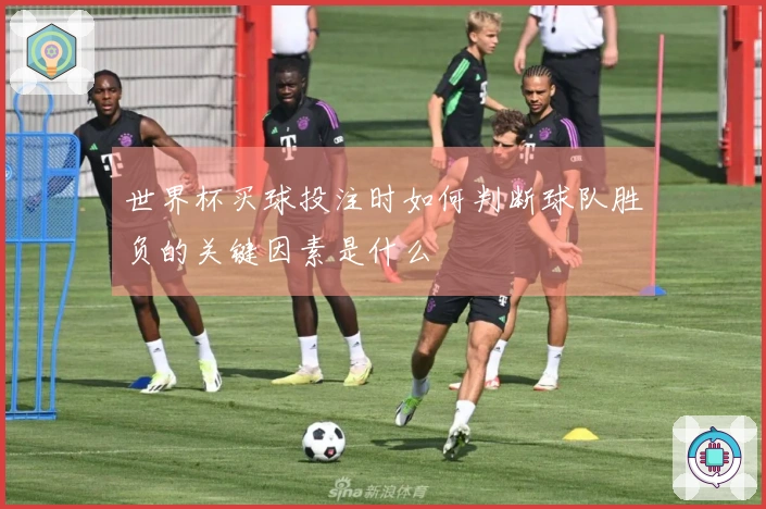 世界杯买球投注时如何判断球队胜负的关键因素是什么