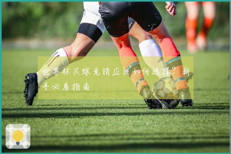 世界杯买球竞猜应该如何选择？新手必看指南