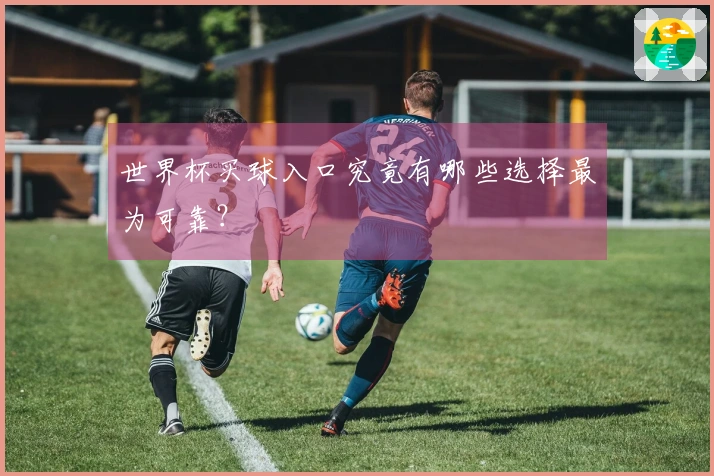 世界杯买球入口究竟有哪些选择最为可靠？
