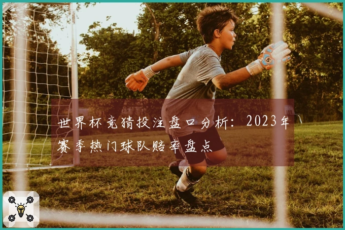 世界杯竞猜投注盘口分析：2023年赛季热门球队赔率盘点