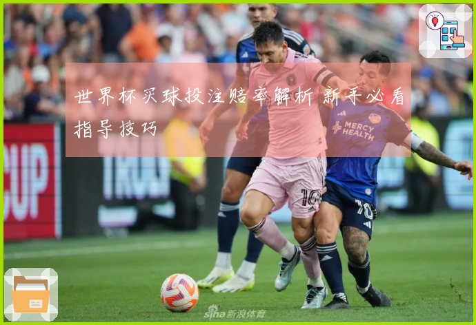 世界杯买球投注赔率解析 新手必看指导技巧