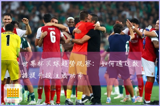 世界杯买球趋势观察：如何通过数据提升投注成功率