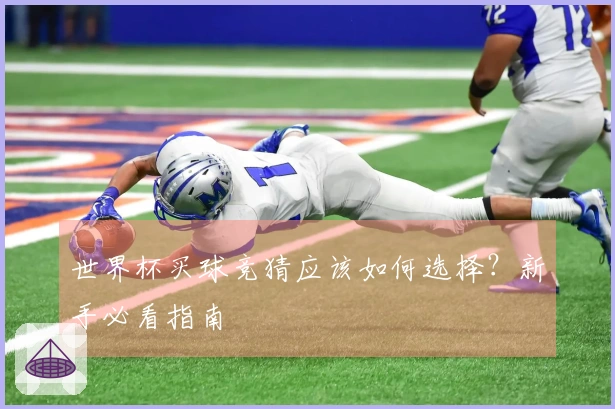 世界杯买球竞猜应该如何选择？新手必看指南