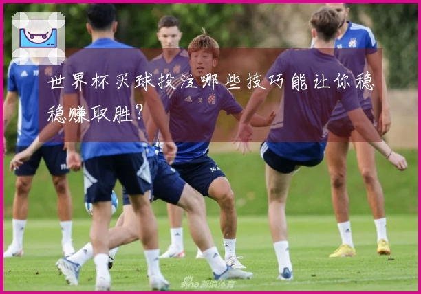 世界杯买球投注哪些技巧能让你稳稳赚取胜？
